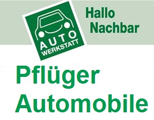 Pflüger Automobile in Handorf Logo